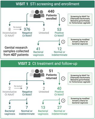 Association of Chlamydia trachomatis burden with the vaginal microbiota, bacterial vaginosis, and metronidazole treatment